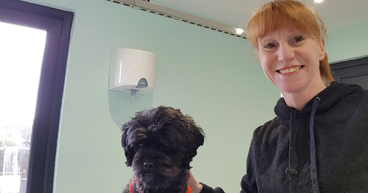 Dog Grooming, Overton, Hampshire Furdresser Dog Groomer